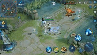 小鲁班最新爆料新闻,最新爆料新闻背后的真相与内幕